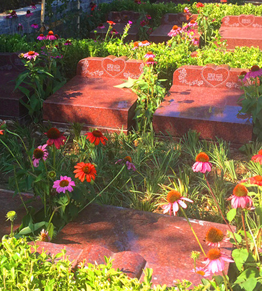 念慈园卧碑(红)